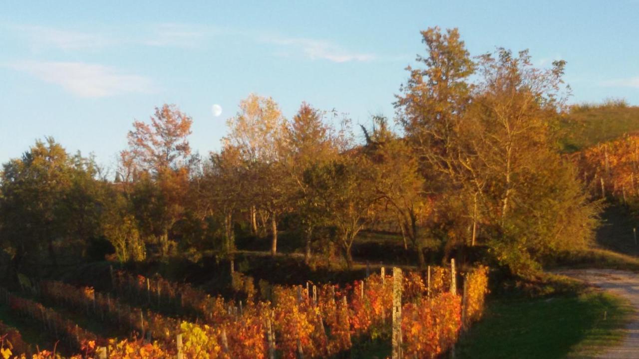 Cascina Torello Dogliani Dış mekan fotoğraf