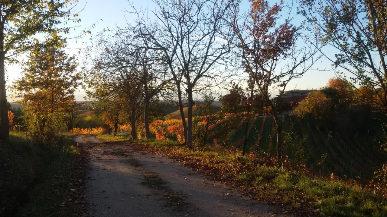 Cascina Torello Dogliani Dış mekan fotoğraf
