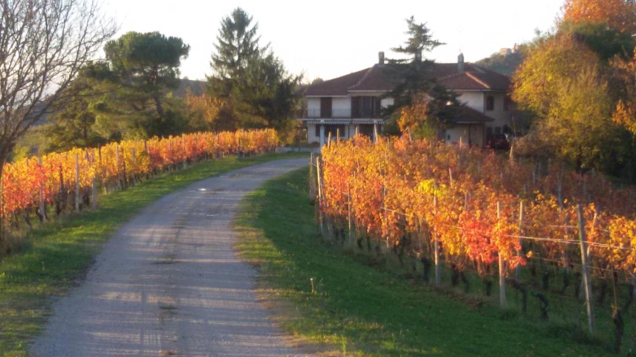 Cascina Torello Dogliani Dış mekan fotoğraf