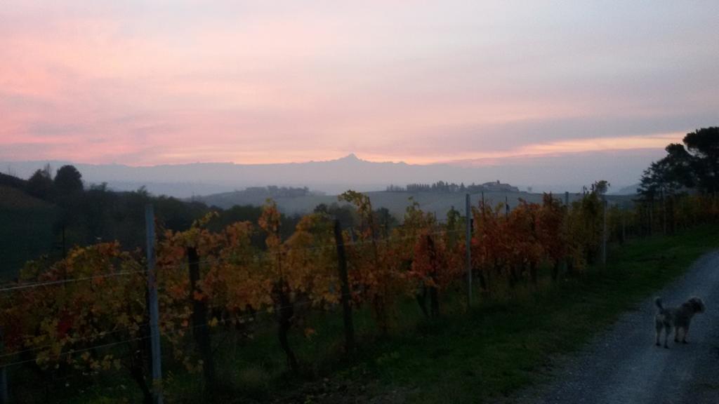 Cascina Torello Dogliani Dış mekan fotoğraf
