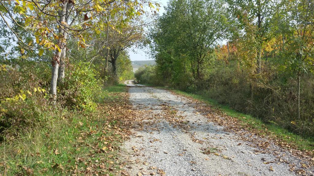 Cascina Torello Dogliani Dış mekan fotoğraf