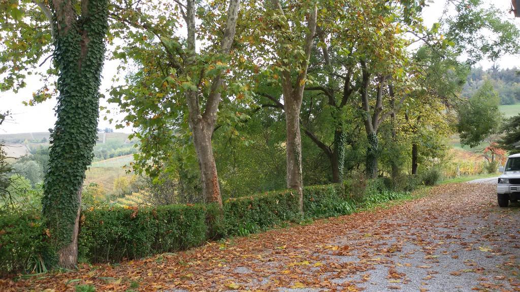 Cascina Torello Dogliani Dış mekan fotoğraf