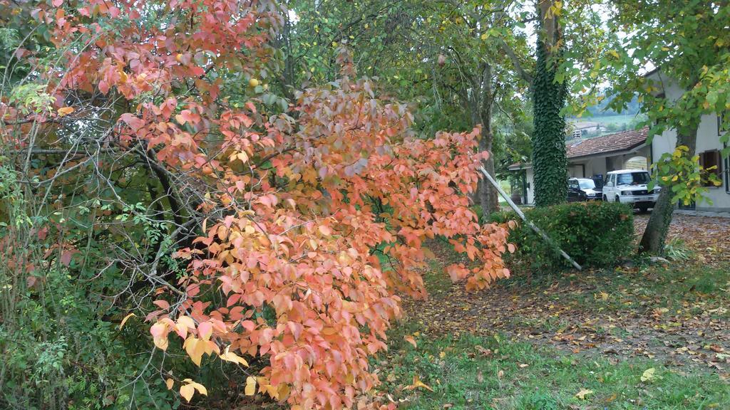 Cascina Torello Dogliani Dış mekan fotoğraf