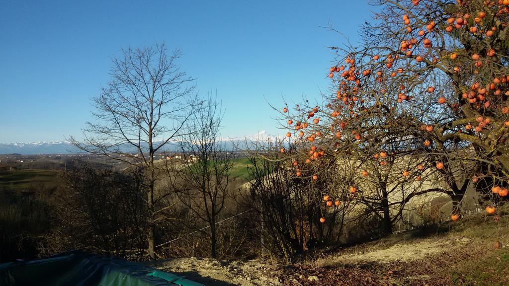 Cascina Torello Dogliani Dış mekan fotoğraf
