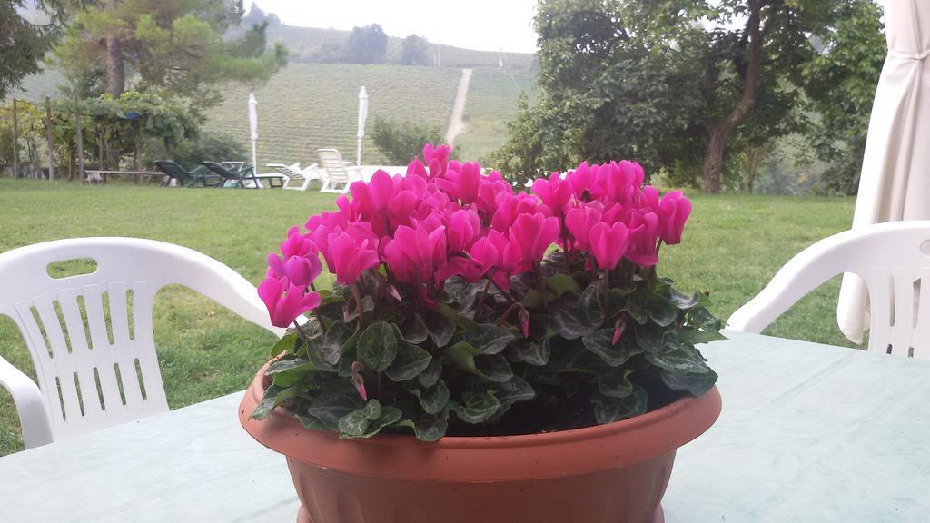 Cascina Torello Dogliani Dış mekan fotoğraf