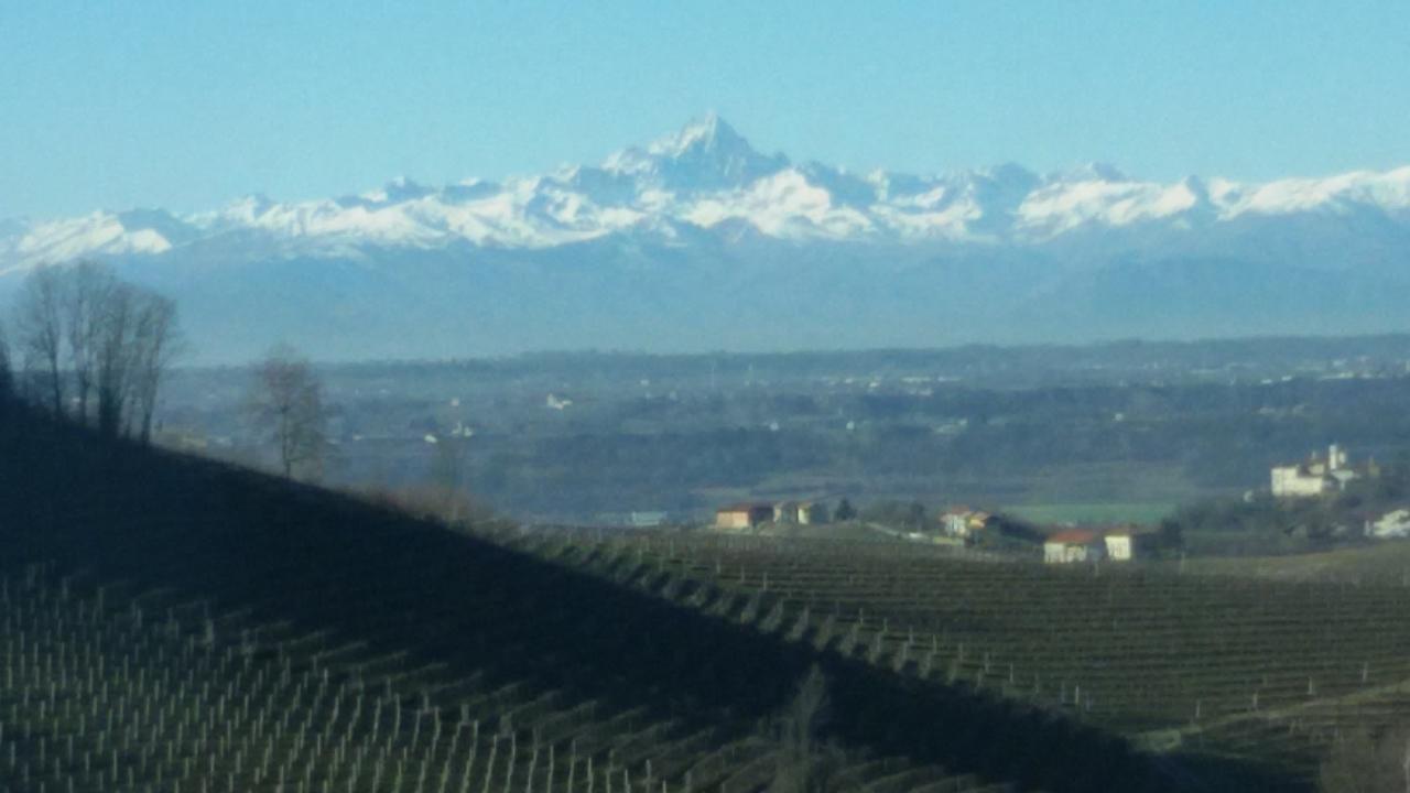 Cascina Torello Dogliani Dış mekan fotoğraf