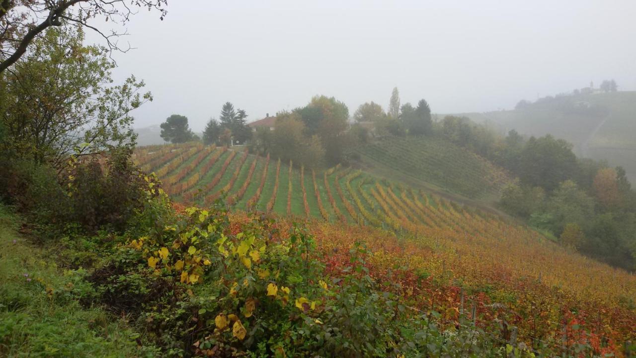 Cascina Torello Dogliani Dış mekan fotoğraf